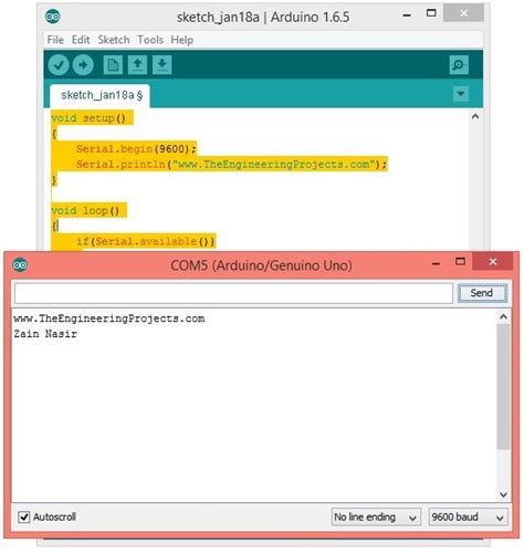 test serial monitor arduino.
